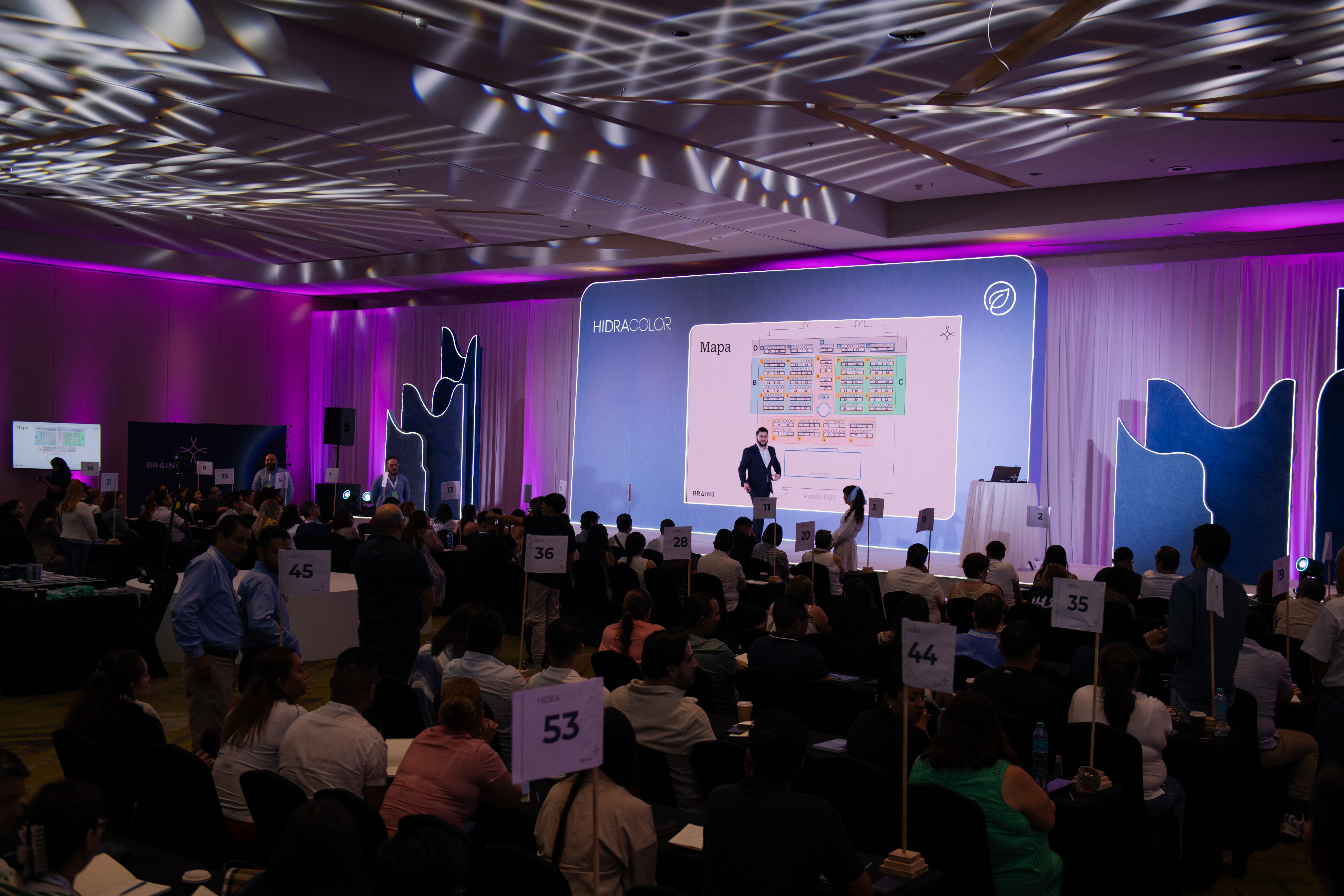 Educación para Ejecutivos Brains